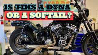 M8 Softail  dyna swing arm conversion More of the STREETRIDER saga [upl. by Barbie67]