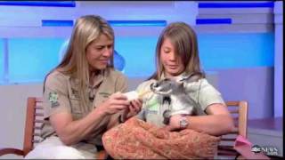 Bindi Irwin on Good Morning America 2011 Pt1 [upl. by Euqinwahs682]