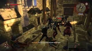 11 Lets Play The Witcher 2 Assassins of Kings  Altair Easter Egg [upl. by Anibor]