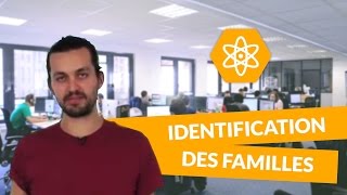 Identification des familles  Physiquechimie  TS  digiSchool [upl. by Mya]