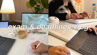 Exam amp deadlines study vlog  a week of lots of studying cramming what I eat in busy days [upl. by Philbert936]