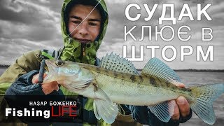 РОЗДАЧА СУДАКА В УРАГАННИЙ ВІТЕР [upl. by Amiarom]