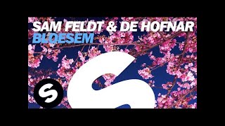 Sam Feldt amp De Hofnar  Bloesem Original Mix [upl. by Secilu]