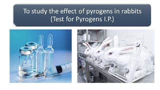 Pyrogen Testing [upl. by Severson]