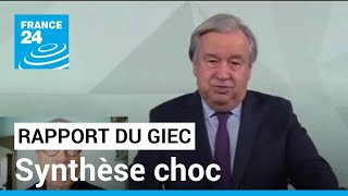 Rapport du Giec  la synthèse choc de lurgence climatique • FRANCE 24 [upl. by Grethel]