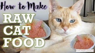 How to Make RAW CAT FOOD RECIPE – Homemade Cat Food for Healthy Cats [upl. by Kary]