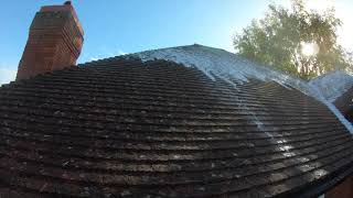 Roof scraping and moss treatment with bac50  soft washing method [upl. by Rosmunda]