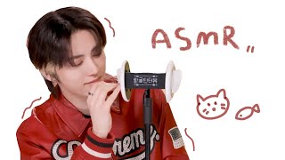 ❥𓂃𓏧 남돌 고막강타 귀청소 모음  Tingle Interview ASMR [upl. by Feinberg]