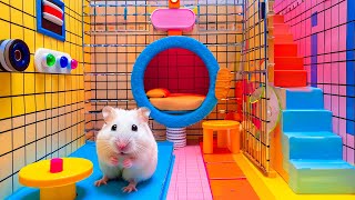 Explore the Epic Journey of Hamster Escaping DIY Maze 🐹 Hamster Maze [upl. by Auqinahs]