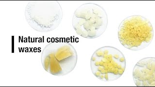 Natural cosmetic waxes [upl. by Kathrine]