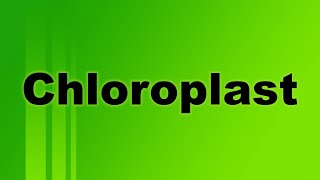 Chloroplast Definition and Function [upl. by Atekram567]