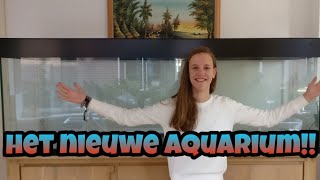 MIJN NIEUWE 2m AQUARIUM  update aquaria Nickey [upl. by Sherrer]