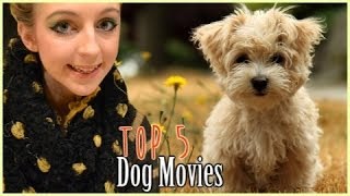 TOP 5 DOG MOVIES [upl. by Lekar]