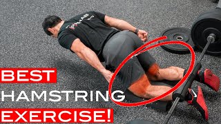 Master The Nordic Hamstring Curl to Improve Your Hamstring Strength [upl. by Godfry]