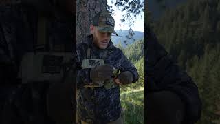 How I Run My Bino Harness For Spring Bear Hunting [upl. by Alehtse]