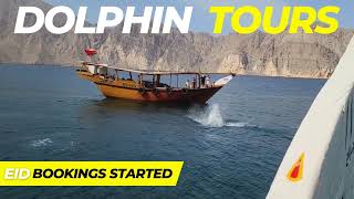 Dolphin Watching Khasab Musandam Oman Fjords Tour  Dhow Cruise Trips [upl. by Eenwat406]