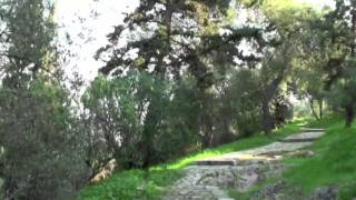 The theatre of Dionysus and Philopappos hill ΑθήναAthens [upl. by Ainitsirc]