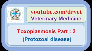 Toxoplasmosis Part 2 [upl. by Ailhad504]