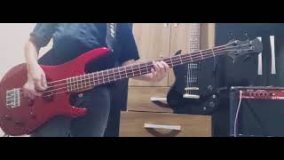 The damned  New Rose cover Bass [upl. by Selestina]