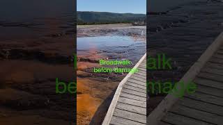 Hydrothermal Explosion in Biscuit Basin  Sapphire Pool  Before and After yellowstone [upl. by Idolem370]