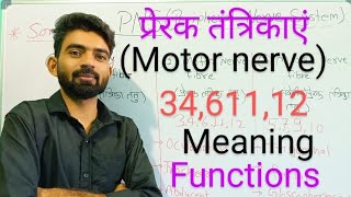 Motor nerve  प्रेरक तंत्रिकाएं meaning amp functions Anatomy and physiology ANM GNM Bsc Nursing [upl. by Aidnic]