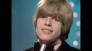 NEW  Theres A Kind Of Hush  Hermans Hermits 4K Stereo 1967 [upl. by Alekal846]