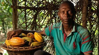 Climate Crisis Fairtrade Cocoa Farmer Speaks out [upl. by Nelluc]