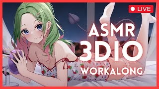 OBS IS BROKEN【3dio ASMR】 [upl. by Suiradel797]