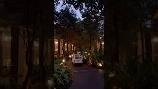 Coorg Vlog shorts coorgtouristplaces best jungle stay coorg coorg class 10  Dubare  Camp corg [upl. by Diehl]