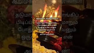 Om muruga saranam 🙏 murugan lordmurugan tamilgod [upl. by Ayin82]