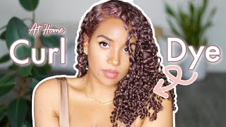 Dye Curly Hair At Home NO DAMAGE or BLEACH  Hair Color Transformation [upl. by Liuqnoj]