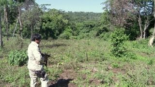 O território do tráfico na fronteira [upl. by Rednasyl]