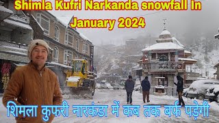 शिमला कुफरी नारकंडा में कब तक बर्फ पड़ेगी  Shimla Kufri Narkanda Snowfall In January 2024 [upl. by Mairam]