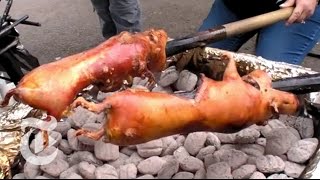 Eating Guinea Pig  The New York Times [upl. by Isaac]