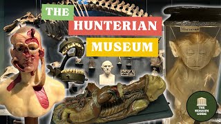 Londons Grisliest Museum A Guided Tour of The Hunterian Surgical Museum [upl. by Eriuqs900]