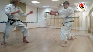 Junro Godan Kata amp Bunkai [upl. by Fortier]