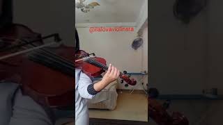 Jodoh berdua Violin Coverhafiz hamidun [upl. by Hannus]