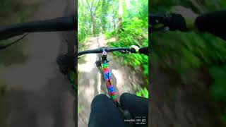 Bikepark Bodethal  Thale  Rosstrappe  die 4 [upl. by Leakcim509]