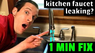 EASY FIX Kitchen Faucet Leaking How to fix a leaky kitchen faucet in 1 minute [upl. by Torre]