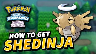 How to get SHEDINJA  Pokemon Brilliant Diamond amp Shining Pearl [upl. by Dnomal628]