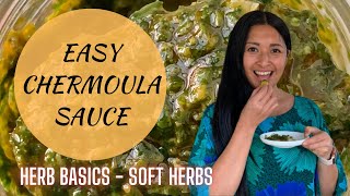 Herb Basics Chermoula Sauce  Moroccan Herb Sauce  Mint Cilantro Parsley Herb Sauce [upl. by Bernice]