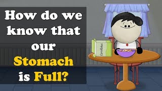 How do we know that our Stomach is Full  more videos  aumsum kids science education children [upl. by Allain]