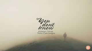 Vietsub  Lyrics You Dont Know  Katelyn Tarver [upl. by Fogarty]