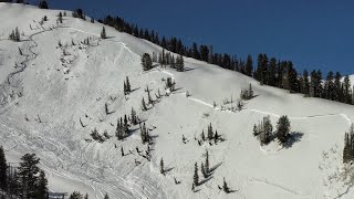 1400 foot wide avalanche  23 Feb 2024 [upl. by Ysac472]