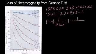 CELL DIVISION  MEIOSIS EASY WAY  NCERT NEET [upl. by Maurey]