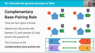 DNA amp Chromosomes Video 1 in 25 Series [upl. by Ahens]