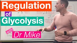 Glycolysis  Metabolism [upl. by Van724]