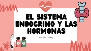 El sistema endocrino y las hormonas🙎‍♀️🧫 [upl. by Frazer]