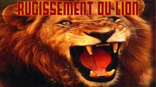 Rugissement du LION le CRI du LION qui RUGIT [upl. by Adoree]