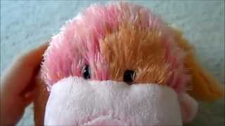 Reviewing the Webkinz Pink Punch Cheeky Dog [upl. by Ellary]